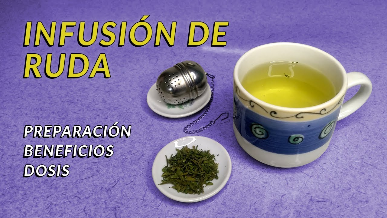 Preparación de infusión de ruda: Paso a paso