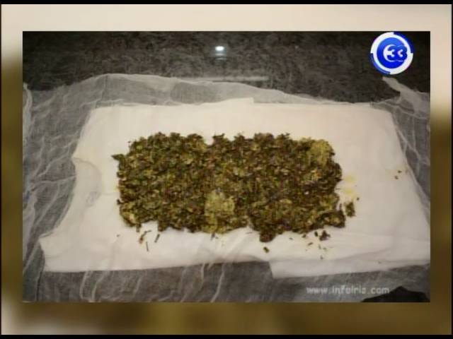 Propiedades del té de suelda