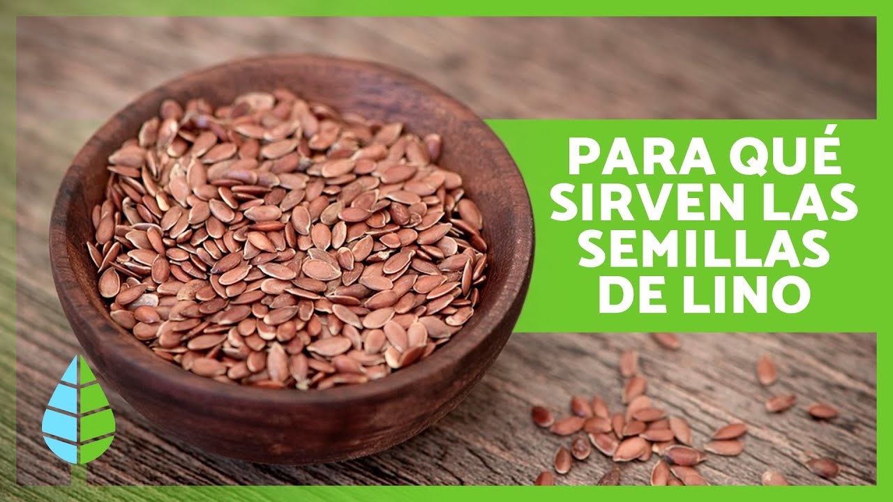 Propiedades saludables de las semillas de lino
