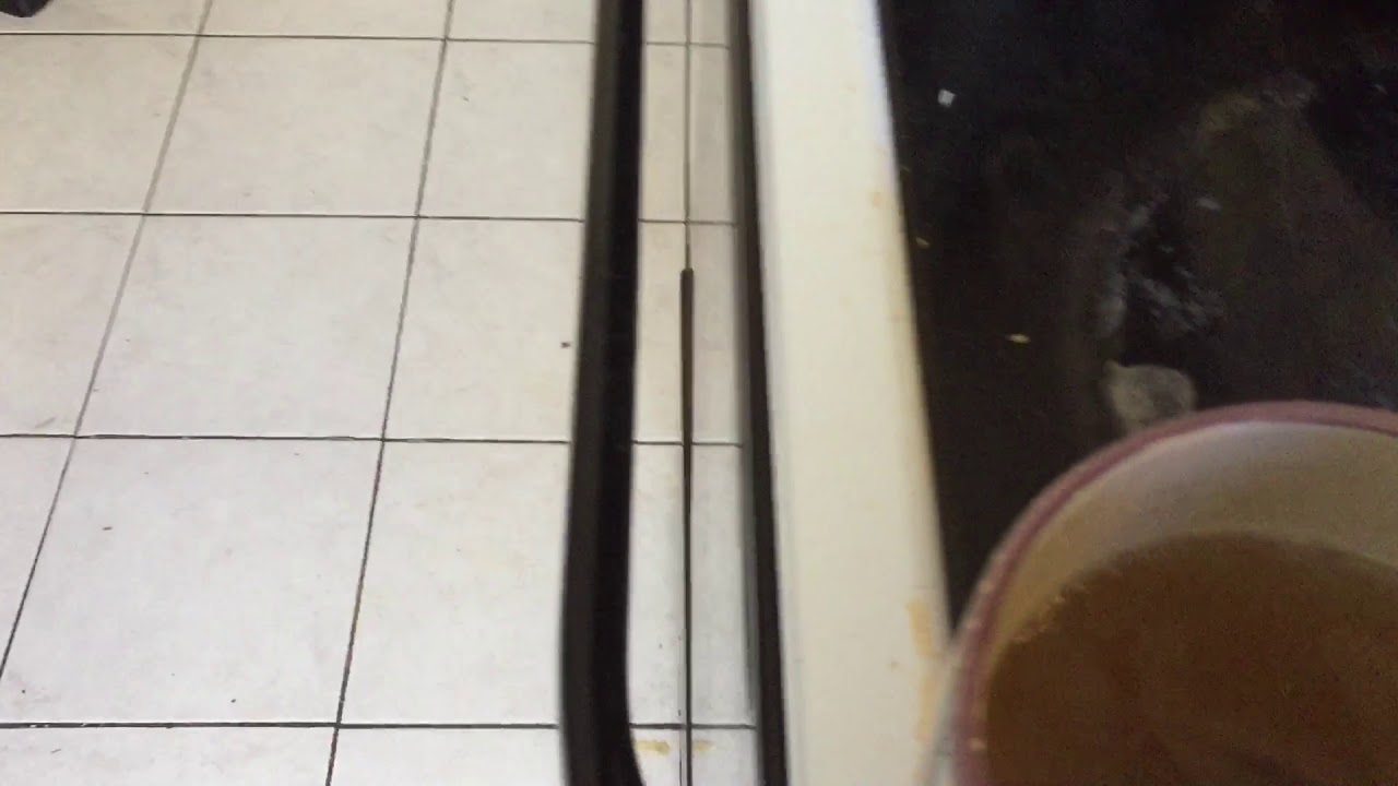 Remedio natural: hígado de zorrillo para la tos