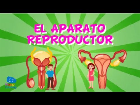 Reproducción masculina: Aprendiendo a ser niño