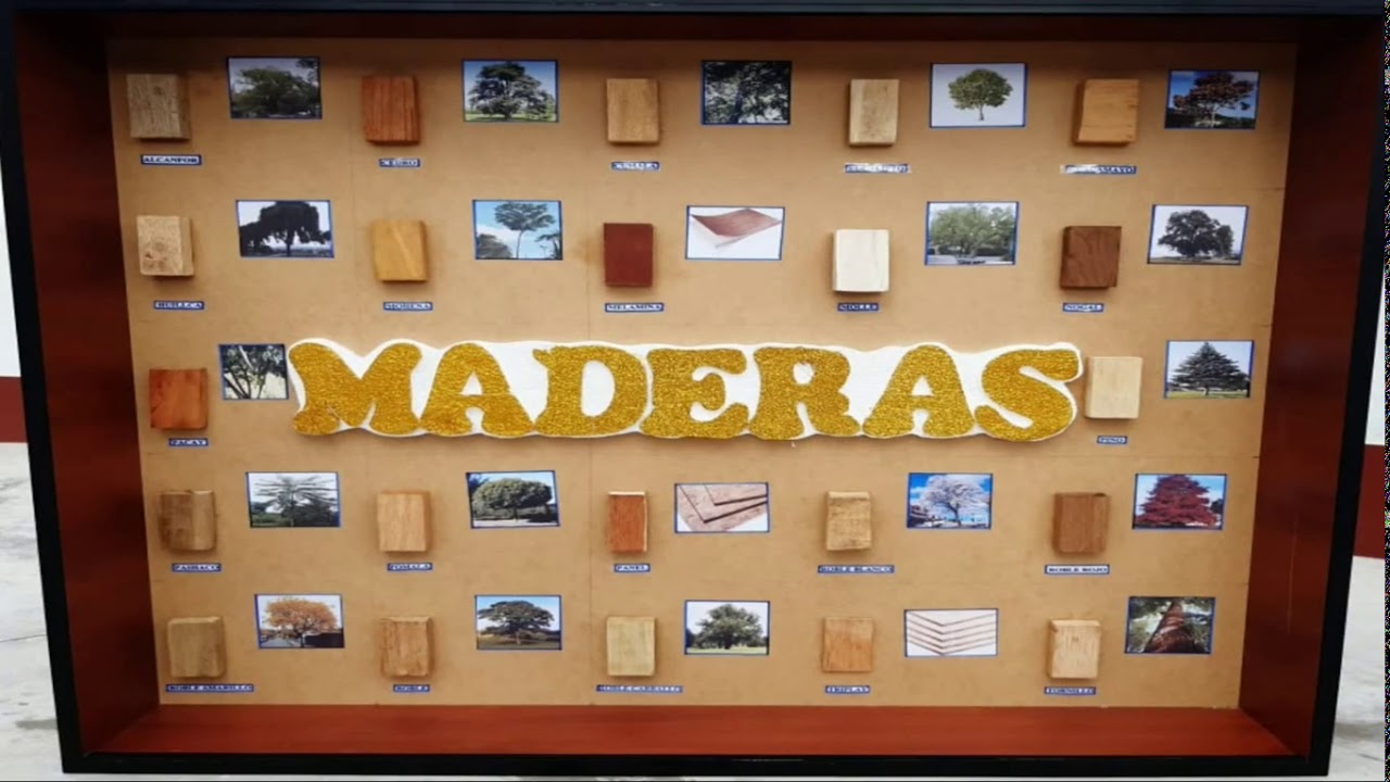 Significado de la madera en la construcción