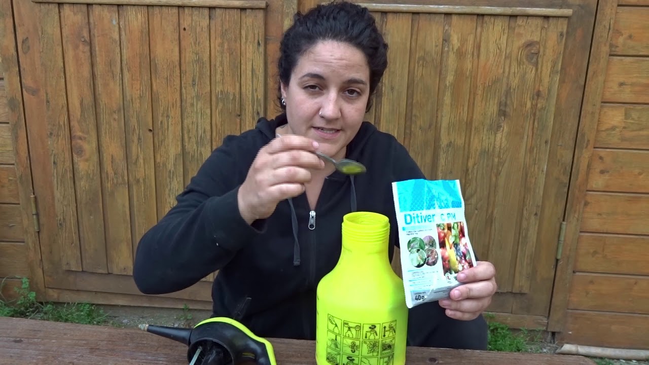 Sulfato de cobre en plantas de tomate: todo lo que necesitas saber