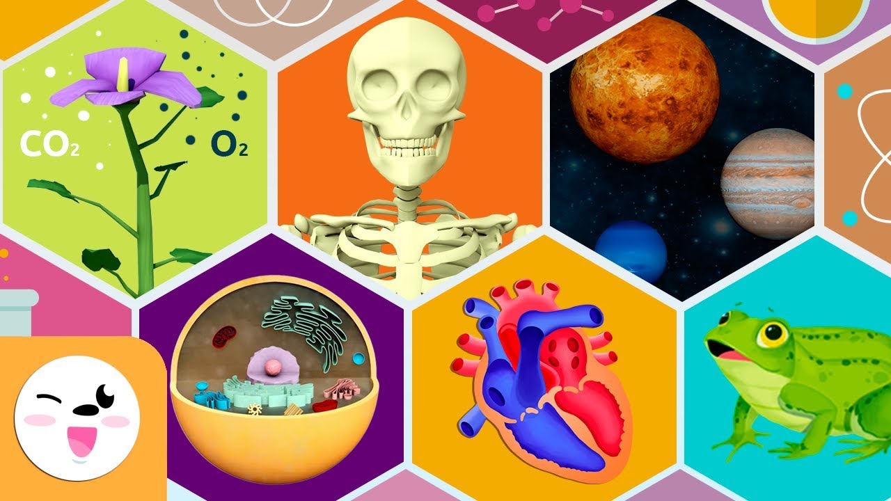 Tarea de ciencias naturales para cuarto grado