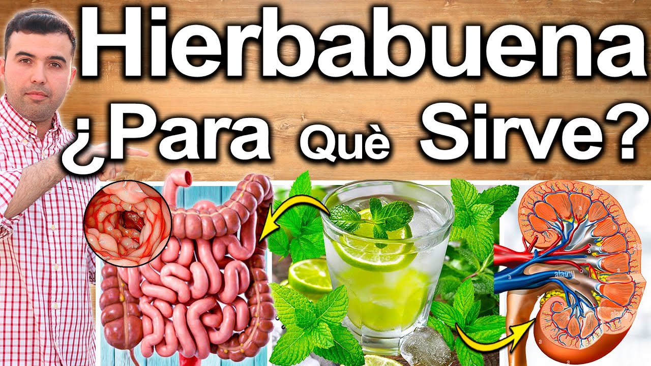 Té de hierbabuena con bicarbonato: beneficios