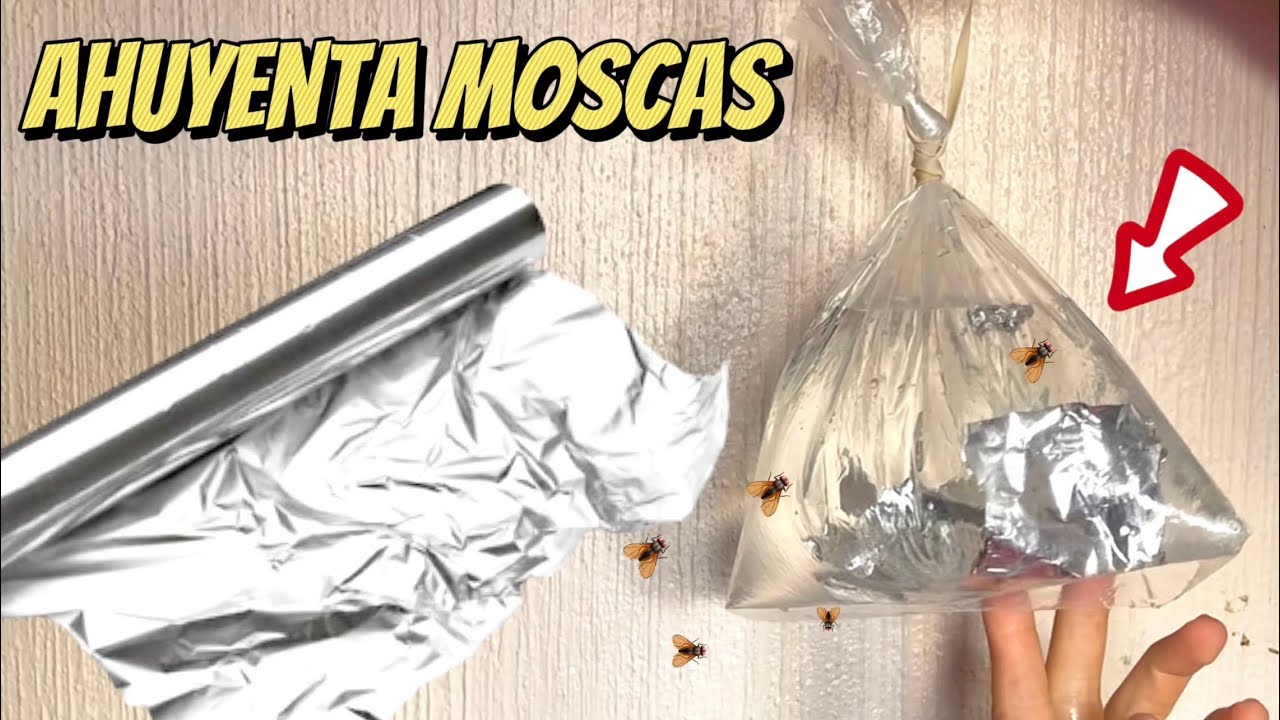 Trampa de agua en bolsa para moscas