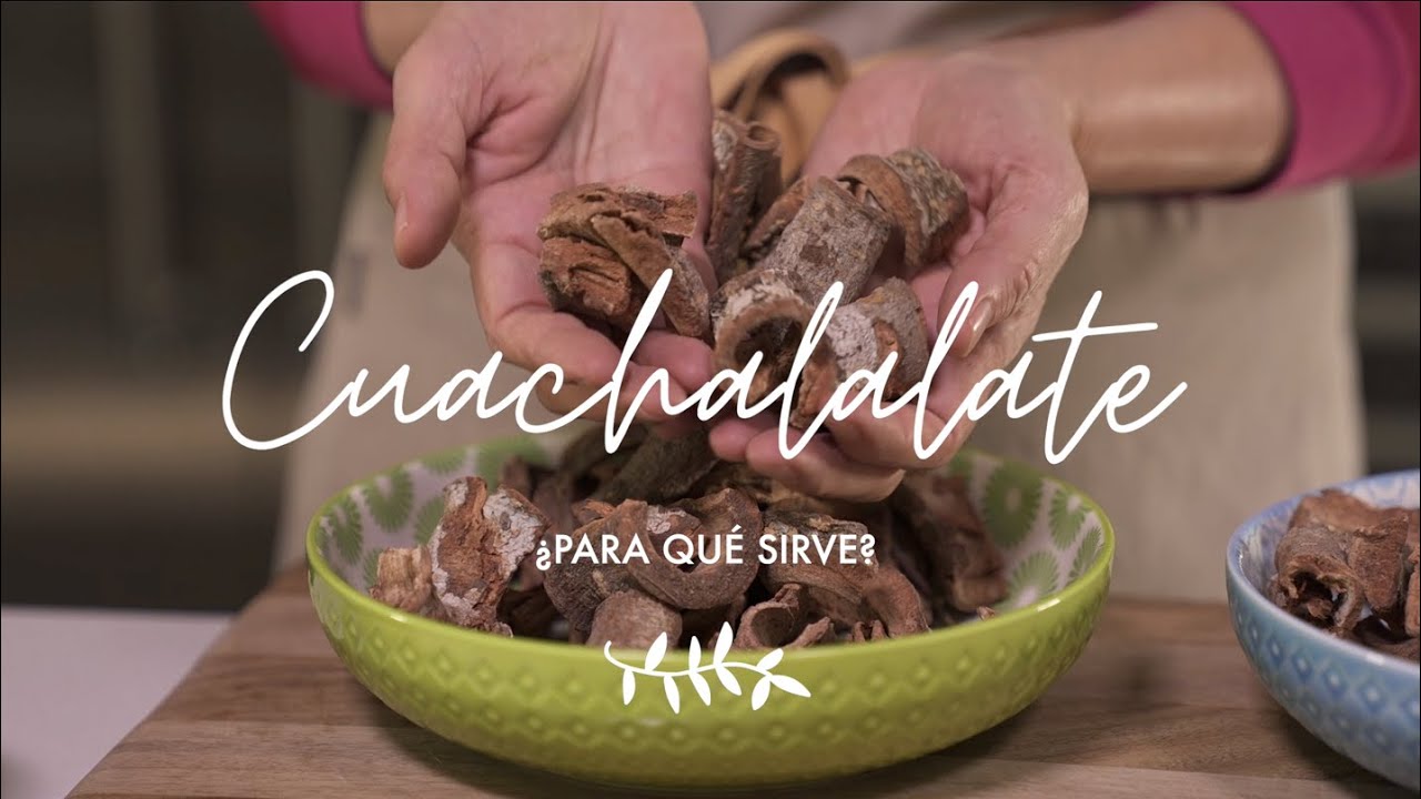 Usos y consumo de cuachalalate