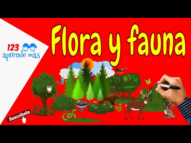 Actividades de flora y fauna para niños en primaria