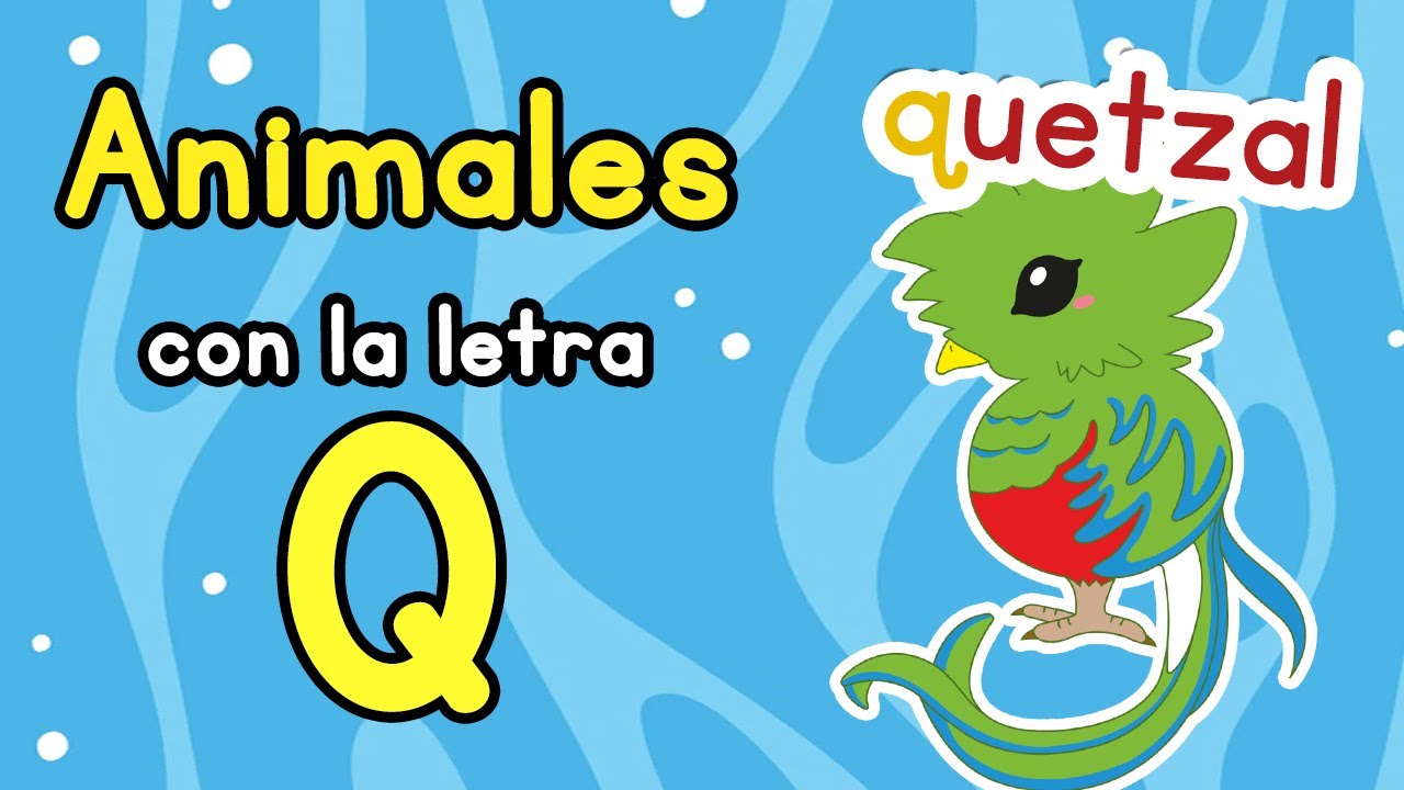 Animales con qui y que: Nombres