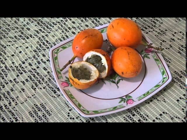 Beneficios de la granada china: descúbrelos