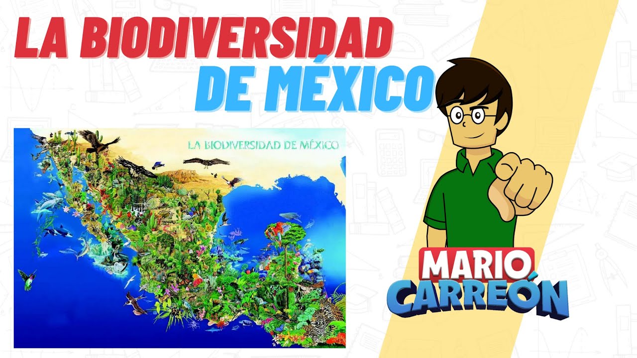 Biodiversidad en el sur de México: Flora y fauna