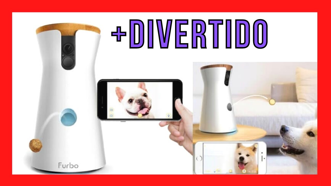 Bolsas de cuidado para perros: imprescindibles