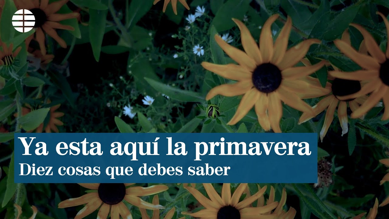 Características de la primavera que debes conocer