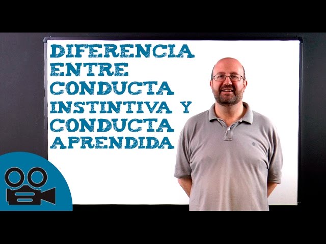 Casos de comportamiento instintivo en animales