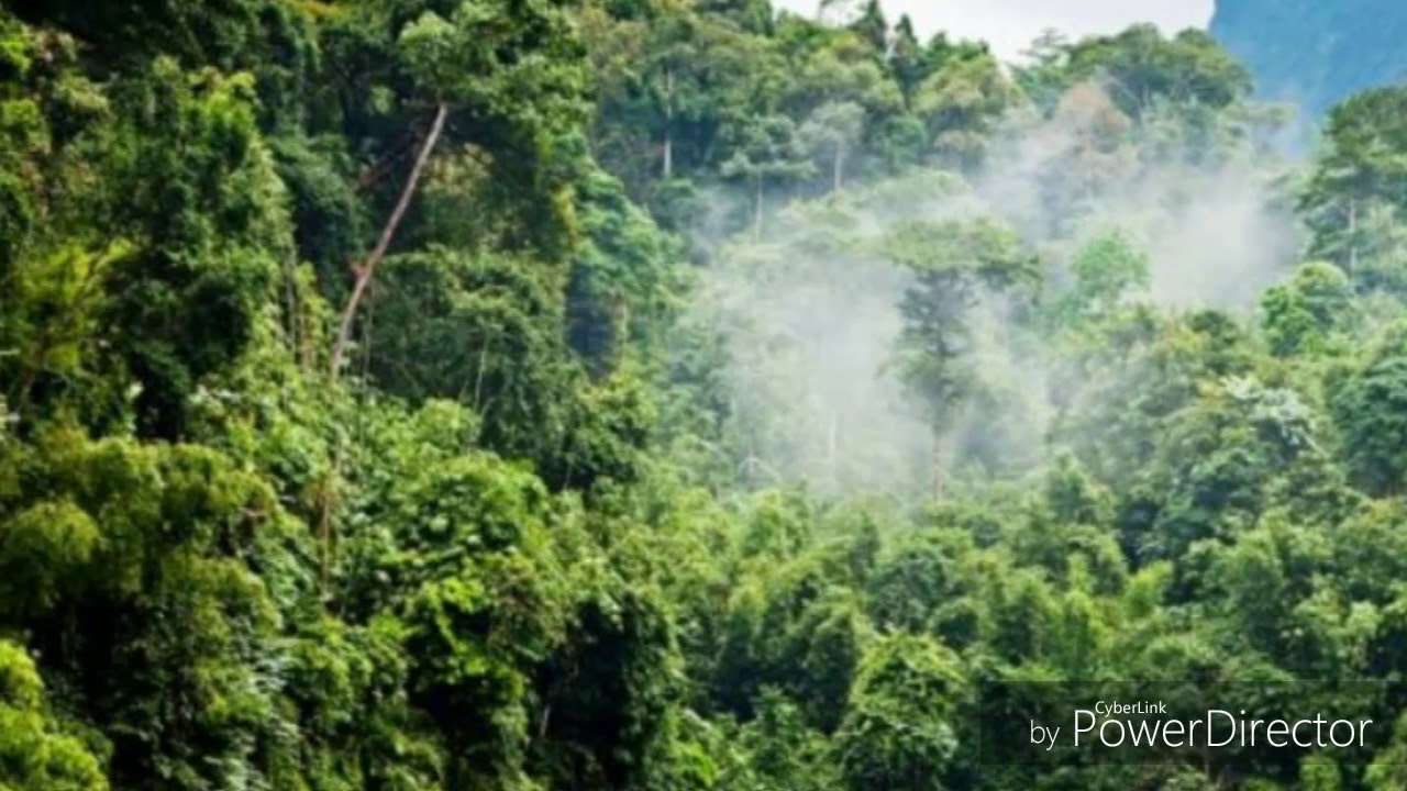 Causas de la alteración de los ecosistemas