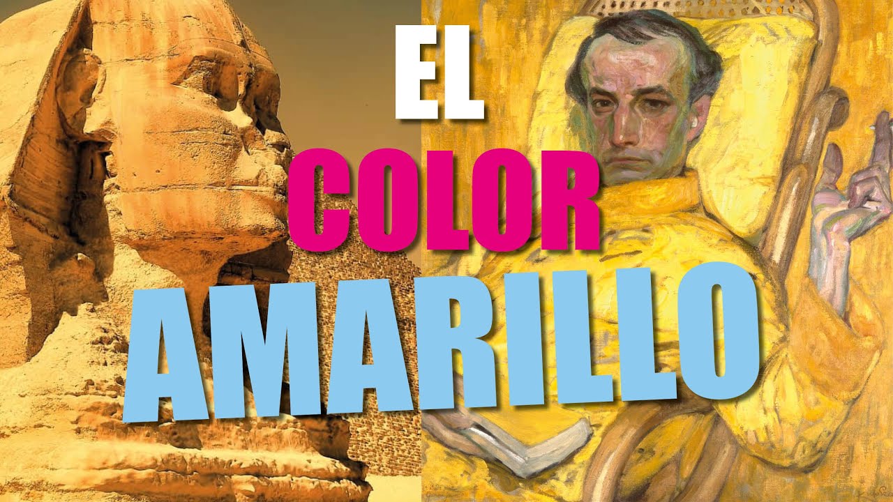 Color del armadillo: descúbrelo