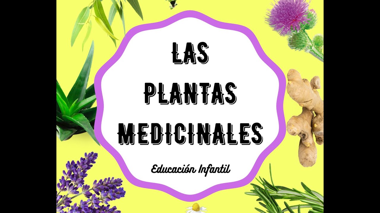 Cómo enseñar plantas medicinales a los niños