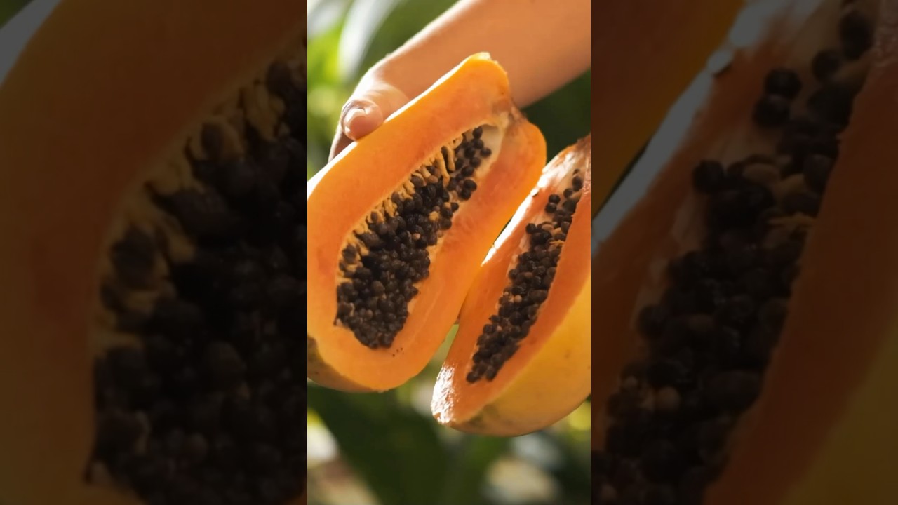 Consejos para desparasitarse con semillas de papaya