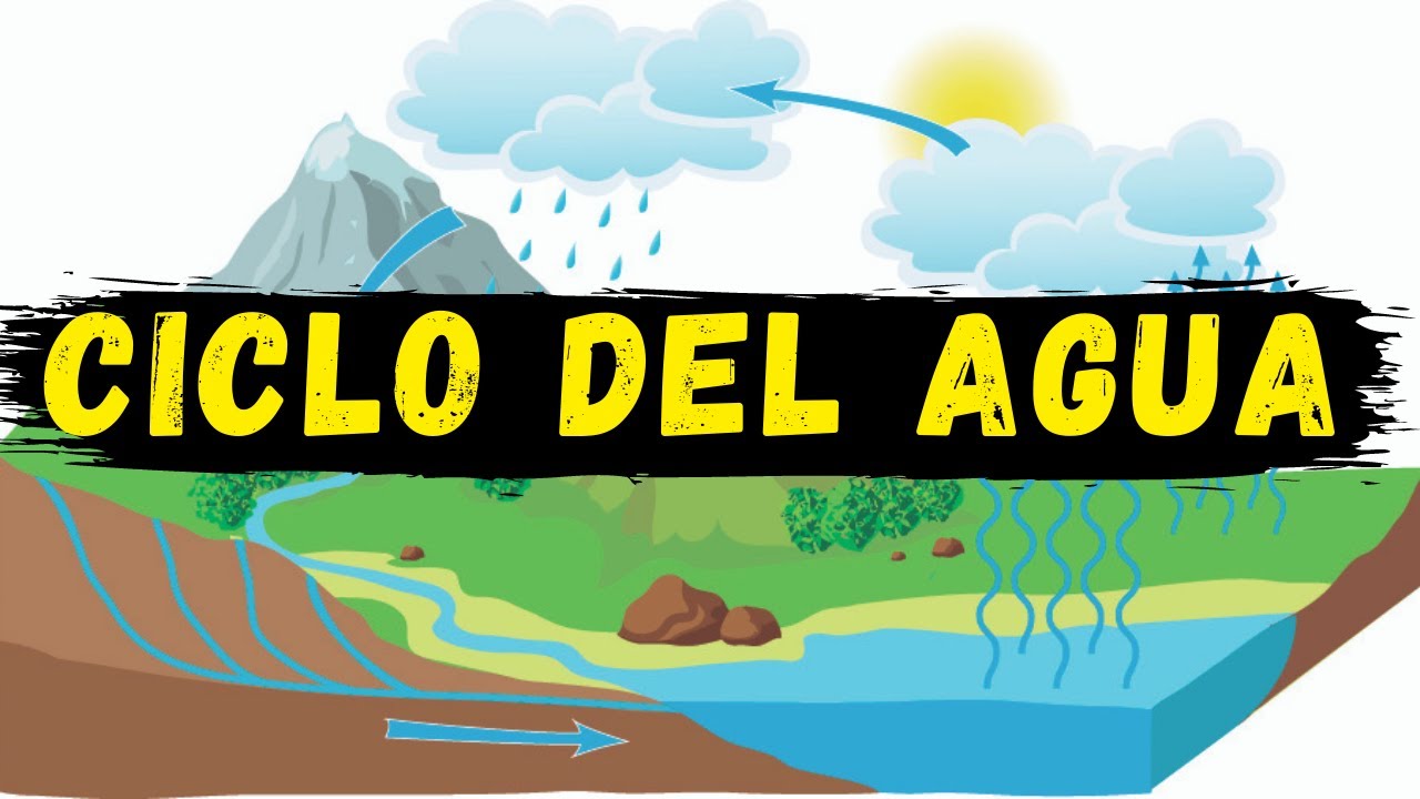 Cuadro Sinóptico sobre el Fascinante Ciclo del Agua