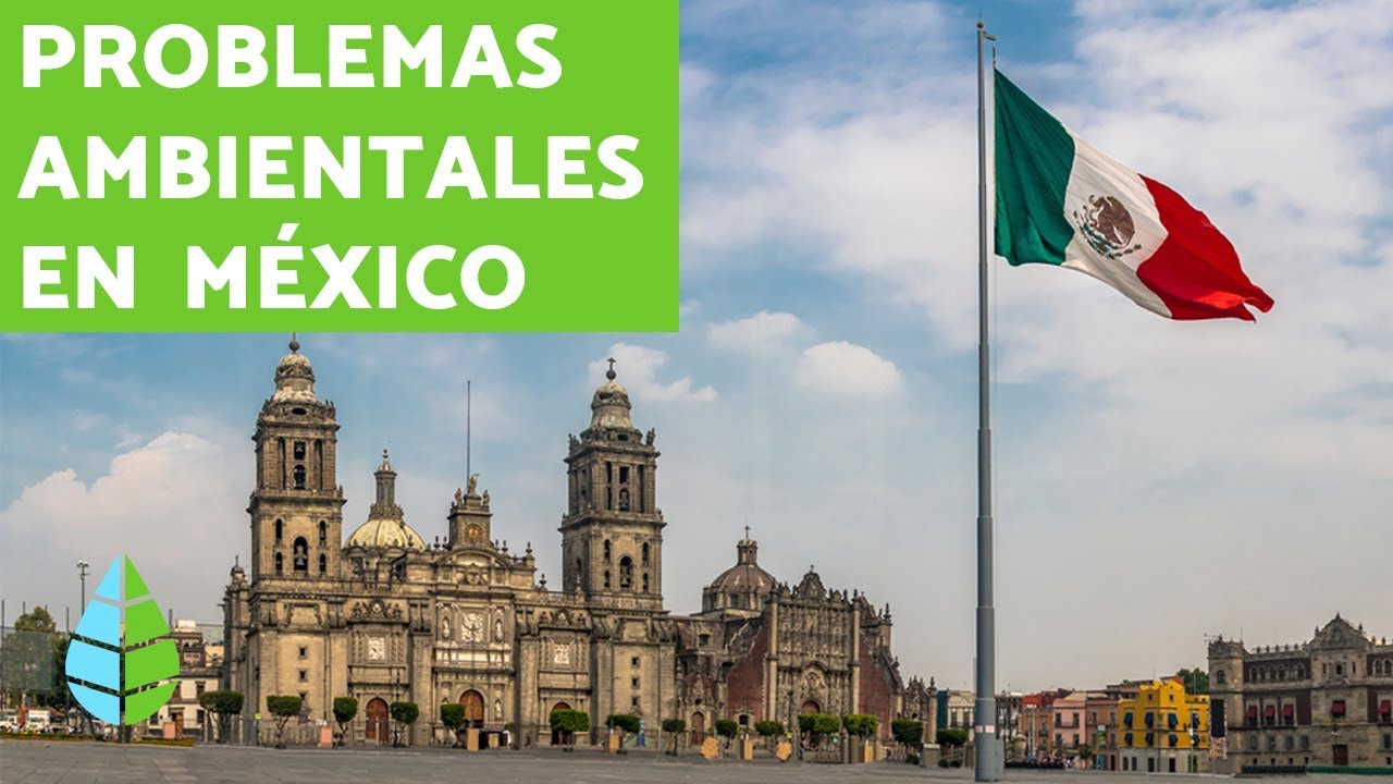 Desafíos ambientales en las costas mexicanas
