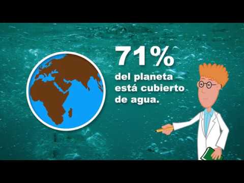 Distribución mundial del agua en gráficos
