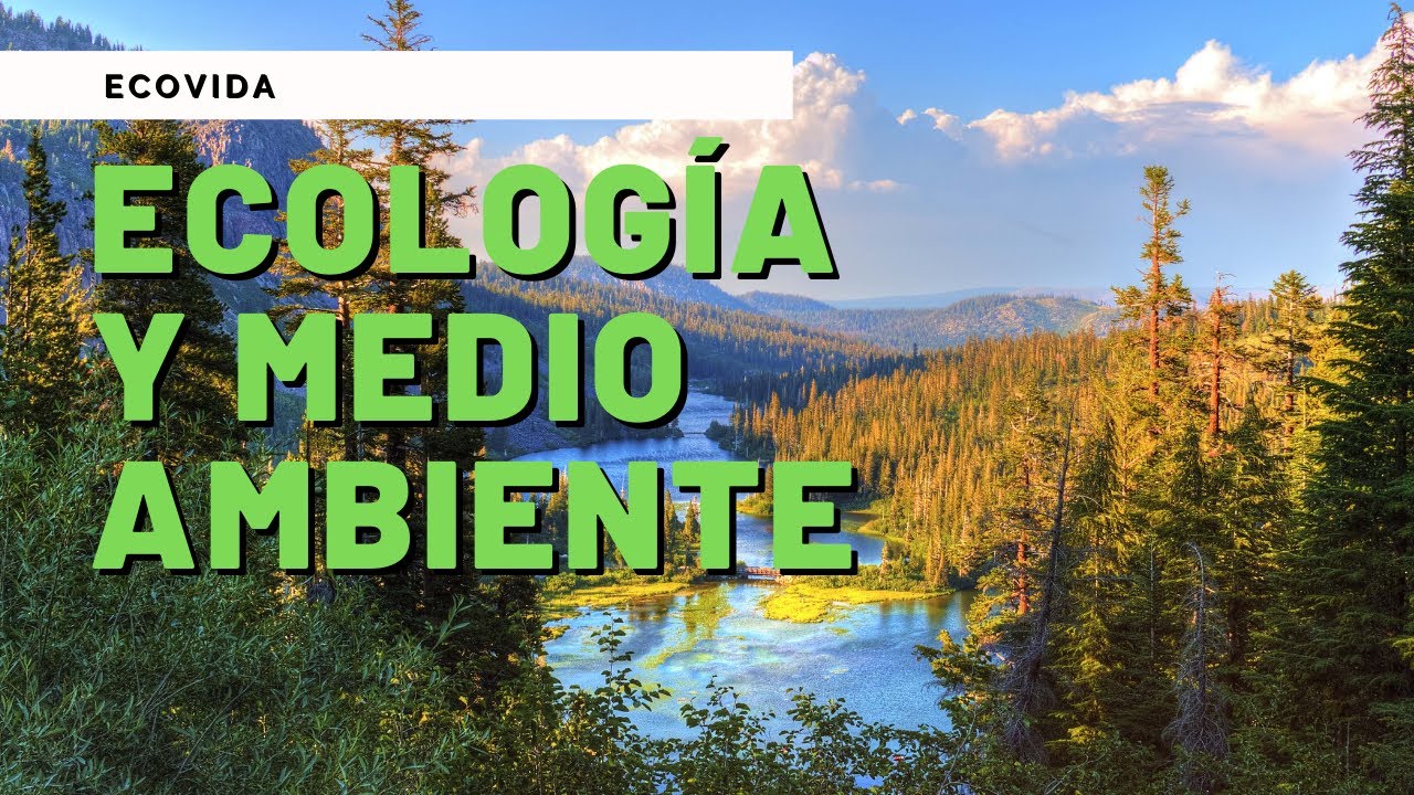 Ecología y su importancia en la conservación ambiental
