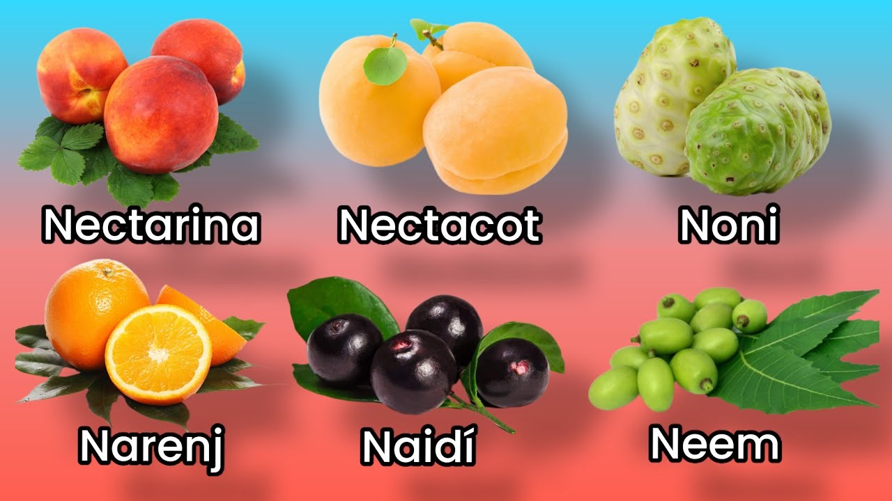 Encuentra una flor o fruto con la letra n
