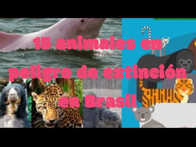 Especies en peligro de extinción en Brasil: una alerta ambiental