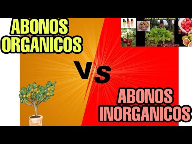 Fertilizantes orgánicos e inorgánicos: diferencias