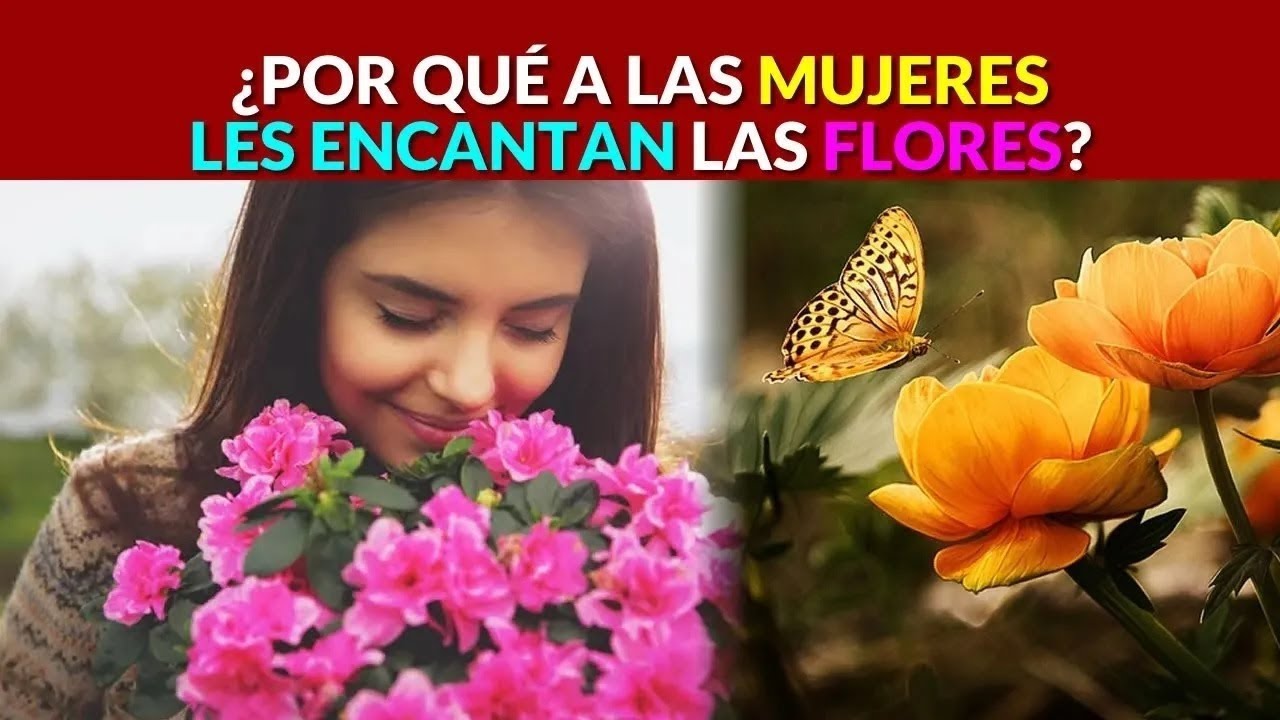 Flores preferidas por las mujeres: descúbrelas