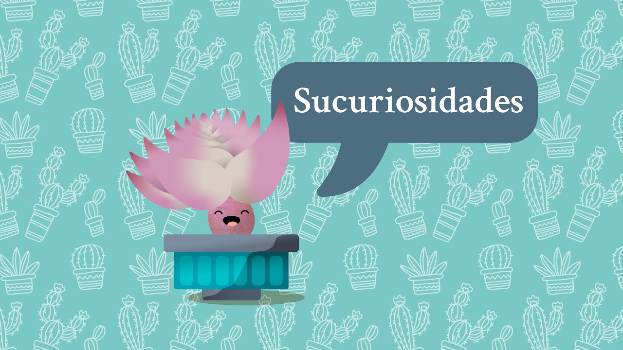 Función de las espinas en los cactus