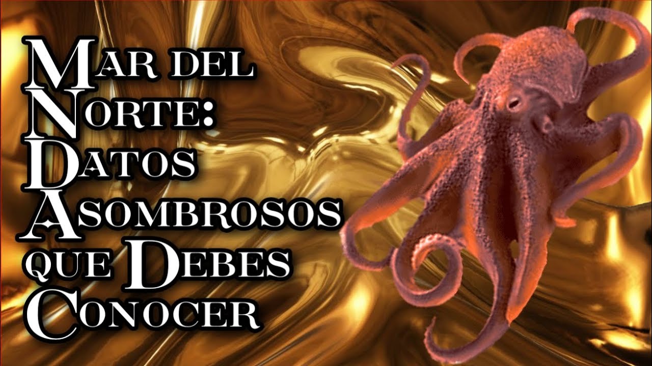 Funciones del Mar del Norte