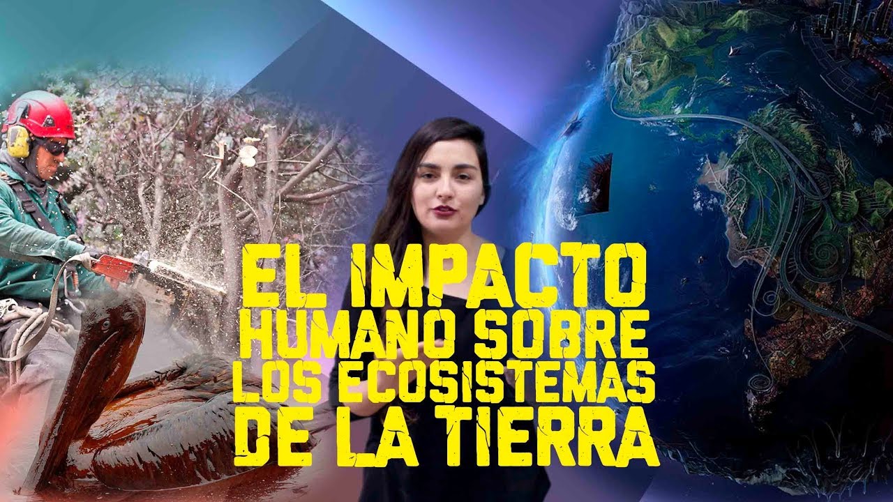 Impactos de la alteración del ecosistema