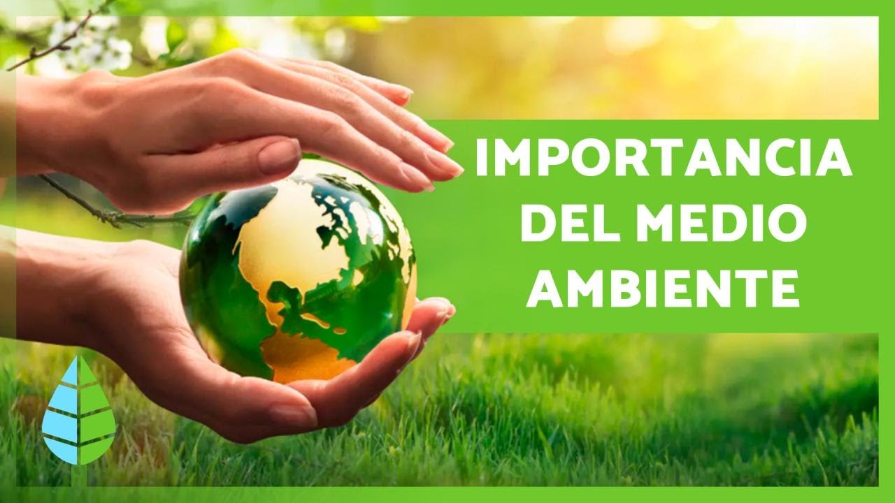 La importancia de la limpieza del medio ambiente