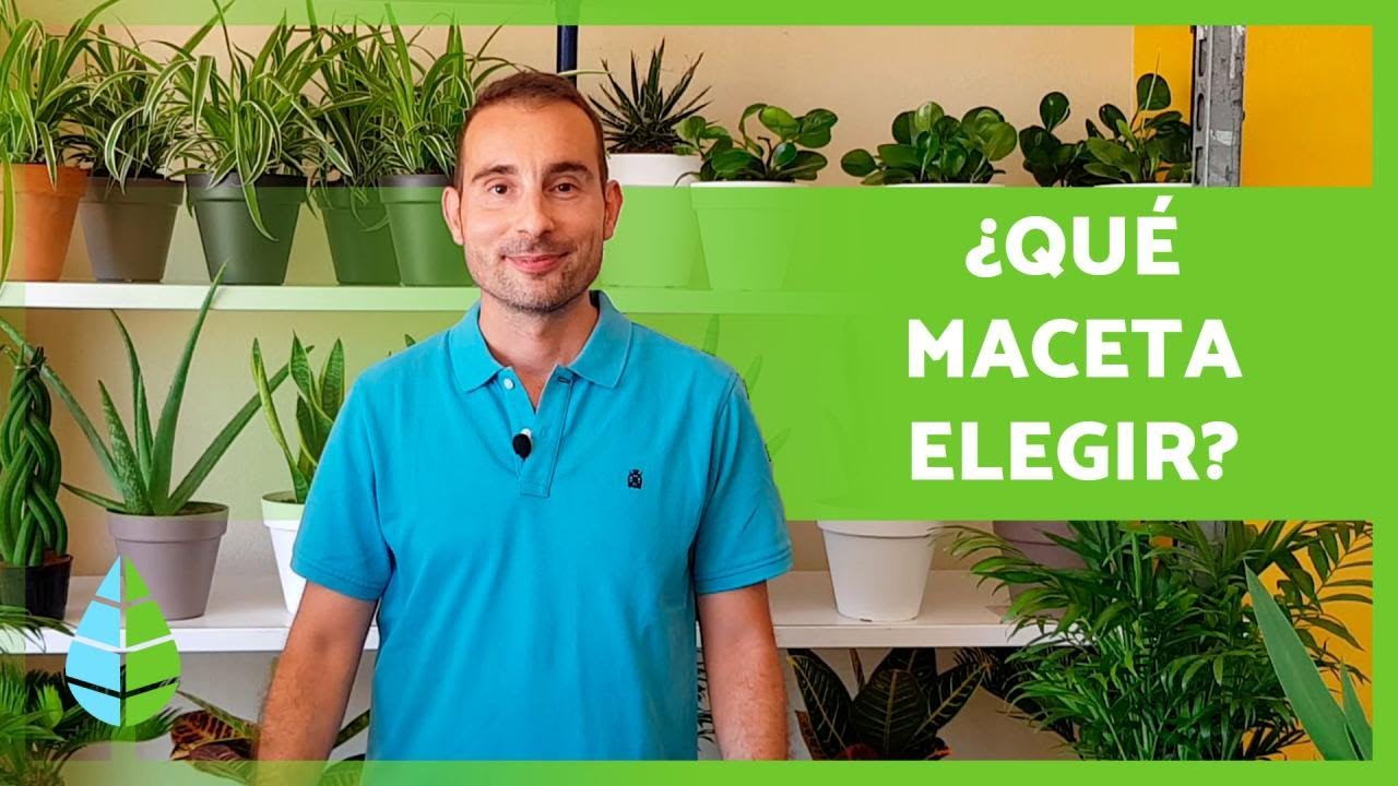 Las mejores macetas para tus plantas