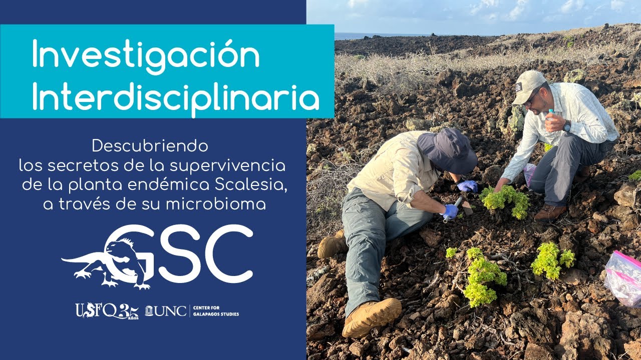 Los secretos de la supervivencia de las plantas