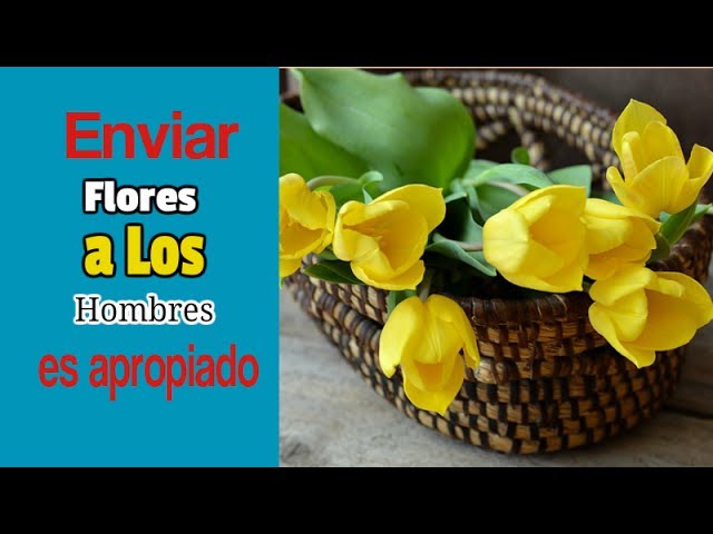 Ramos de rosas azules para hombres