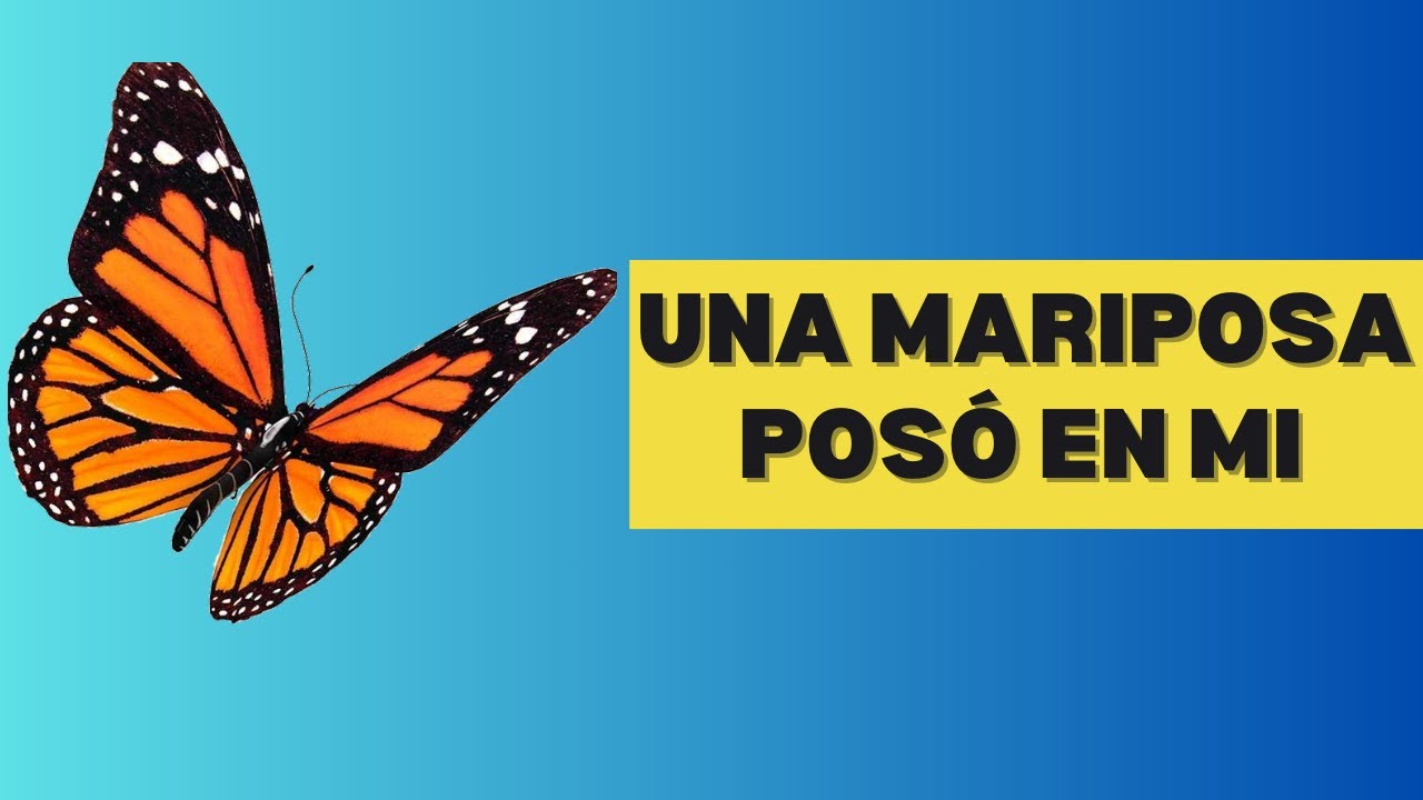 Significado cuando una mariposa se posa en ti